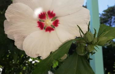 Rottgarten - Foto 42