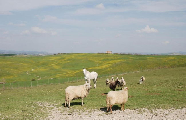 Charming Tuscan Farmhouse - Foto 39