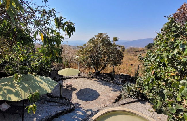 Bosque Geométrico - Foto 52