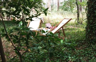 La Fontaine - Foto 29