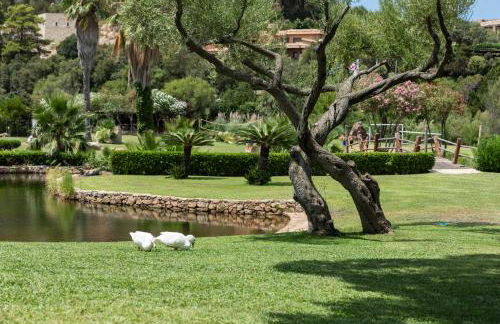 NG Collection gli Oleandri - Foto 60