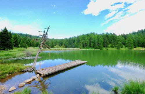 Agriturismo Reinhof - Foto 13