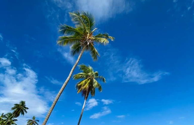 Excursión a las playas Onda y Ermitaño - Foto 2
