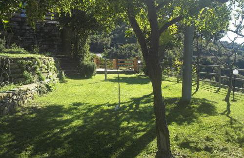 Micheletto - Foto 15