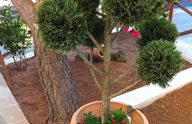 Achlia Hotel - Foto 52