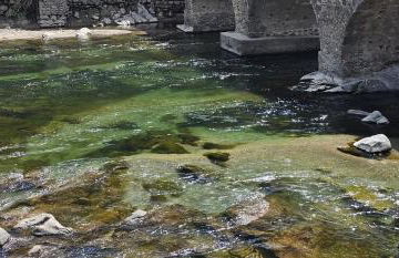 Villa with private pool, 3 bedrooms on 3000 m2 Anduze - Foto 52