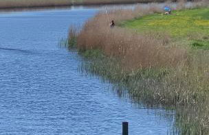 Ferienwohnung Eiderwiese - Foto 17