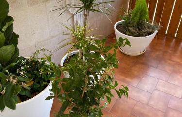 Pombal Suite - Foto 3