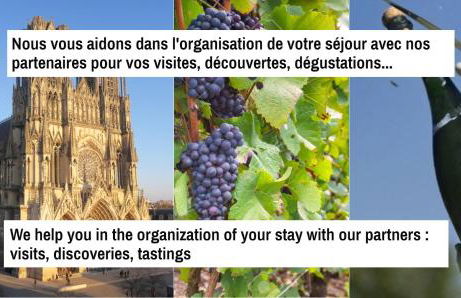 Centre ville - Appartement 3 chambres & Terrasse - La Clé des Sacres - Foto 21