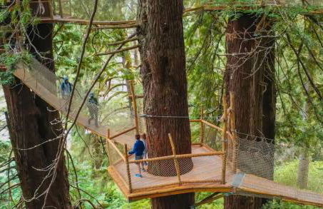 Pacific Seaside House by Pebble Beach & Redwoods - Foto 42