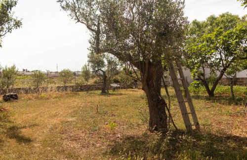 A Look Salento - Foto 28