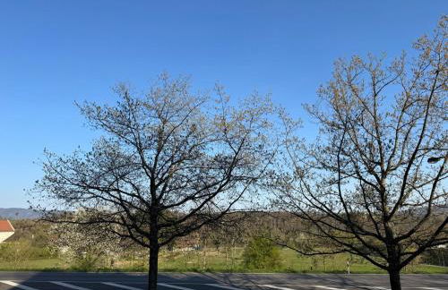 Zimmer in Rheinfelden Basel - Foto 8