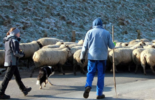 Gowatt North Sea - Foto 11