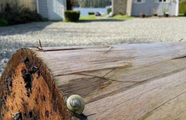 World Cup Stay-Lake Samish Getaway - Foto 10