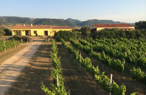 Agriturismo Campesi casale tra le vigne - Photo 20