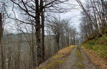 Apartamentos Nevandi - Photo 27