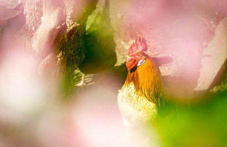 Weingut Pardellerhof - Foto 24