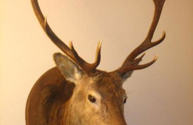 Chalet Les Jumelles - Foto 13