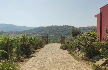 Quinta dos Padrinhos - Suites in the Heart of the Douro - Foto 9