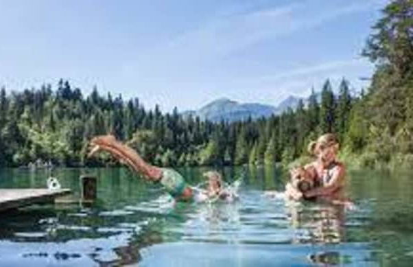 Renovated 3 Rooms Apartment in Ruschein Near Laax - Foto 21