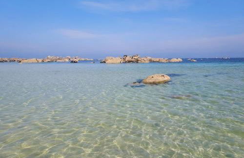 Ty Caromel - Foto 19