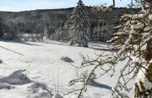 Maison spacieuse à Arrentès-de-Corcieux avec jacuzzi - Foto 26