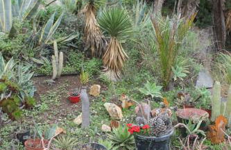 Casa GRENADO - Foto 29