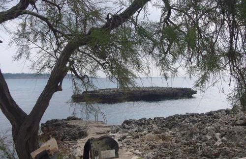 Fonoll Mari - Foto 52