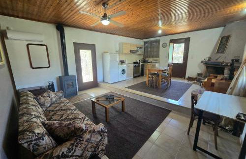 Antoneiko house - Foto 2