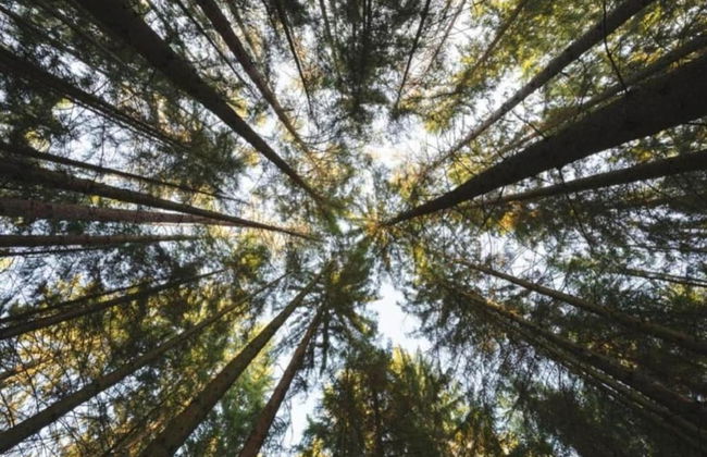 Holiday Home in Germany With Garden Terrace - Foto 30