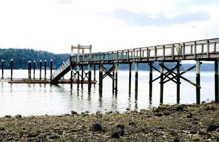 Hoodsport Memory - Beach View, Oysters & Near Olympic Forest - Foto 22