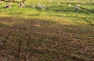 City-Apparte Exklusiv - direkt am Antonius-Hospital - Stilvoll wohnen im Herzen von Gronau - Foto 66