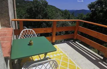 Appartement 2 ou 4 personnes. Venaco - Foto 18