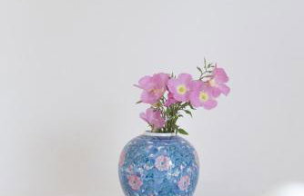 Nikos & Vivi Studios - Foto 55