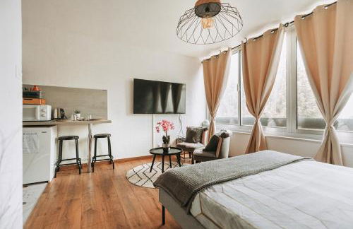 Studio côté nature - trois épis de Turckheim - Foto 6