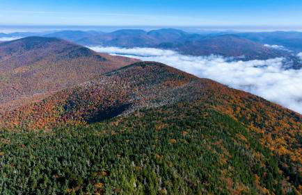 Equinox Resort Residences - Foto 52