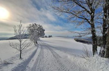 Landhaus Gnacke - Foto 69