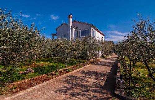 Apartments Cvita Ugljan - Foto 2