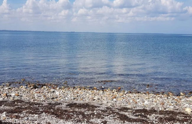 6 Person Holiday Home in Martofte - Foto 49