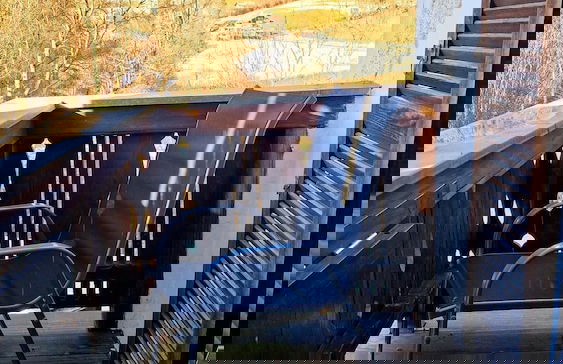 Ferienwohnungen Marienblick - Foto 73