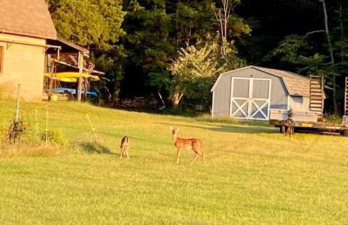 Sai Villa on Maurice River - Foto 59