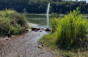 Eifelhäuschen am See - Foto 10