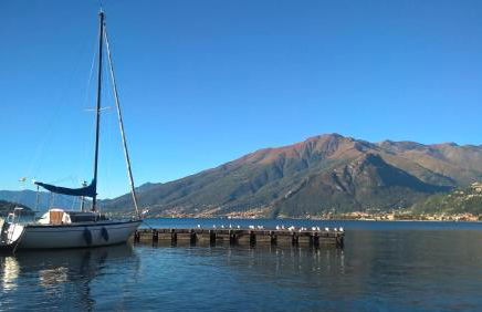 LITTLE FLOWER - Foto 67