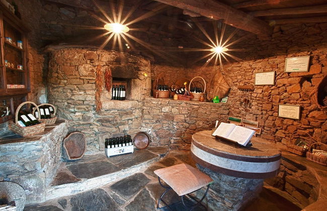 Finca La Ramallosa - Foto 41