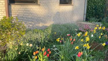 Ferienhaus Magnolie Xanten - Foto 2