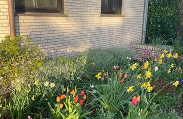 Ferienhaus Magnolie Xanten - Foto 2