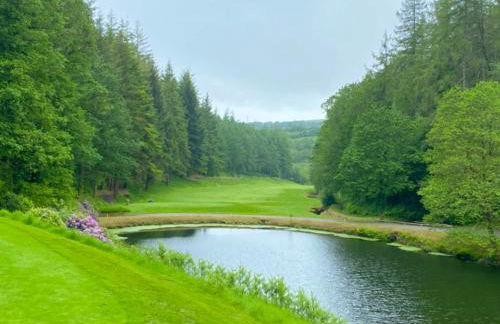 Idyllic Cornish Cottage, Superking bed, private garden dogs welcome - Photo 46
