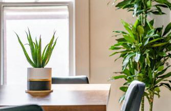 Jungle House Historic Lofts - Columbus Downtown Free Parking - Foto 78