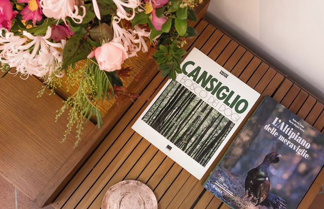 Villa Col di Luna-ProseccoHills - Photo 33