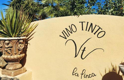 Finca Vino Tinto 4 - Foto 14